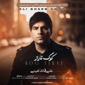دانلود آهنگ علی قائد امینی کوگ تاراز